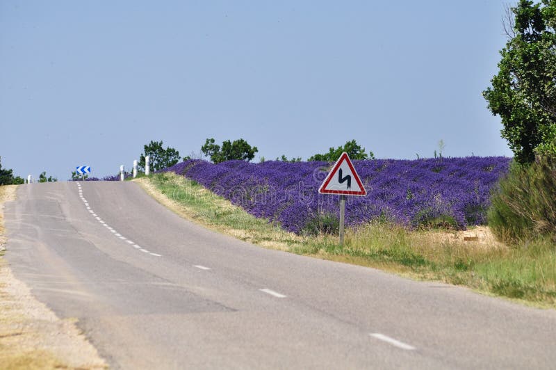 Lavender road stock photo. Image of tranquil, meadows 57175410