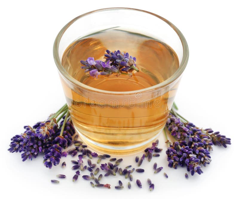 Lavender tea stock photo. Image of flowers, beauty, medicine 216447890