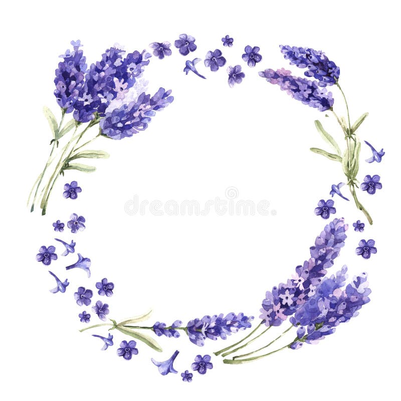 Lavender Wildflower στεφάνι λουλουδιών σε ένα ύφος watercolor που απομονώνεται