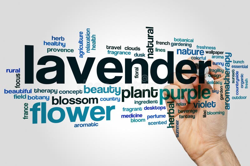 122 Aroma Word Cloud Concept Stock Photos Free & RoyaltyFree Stock