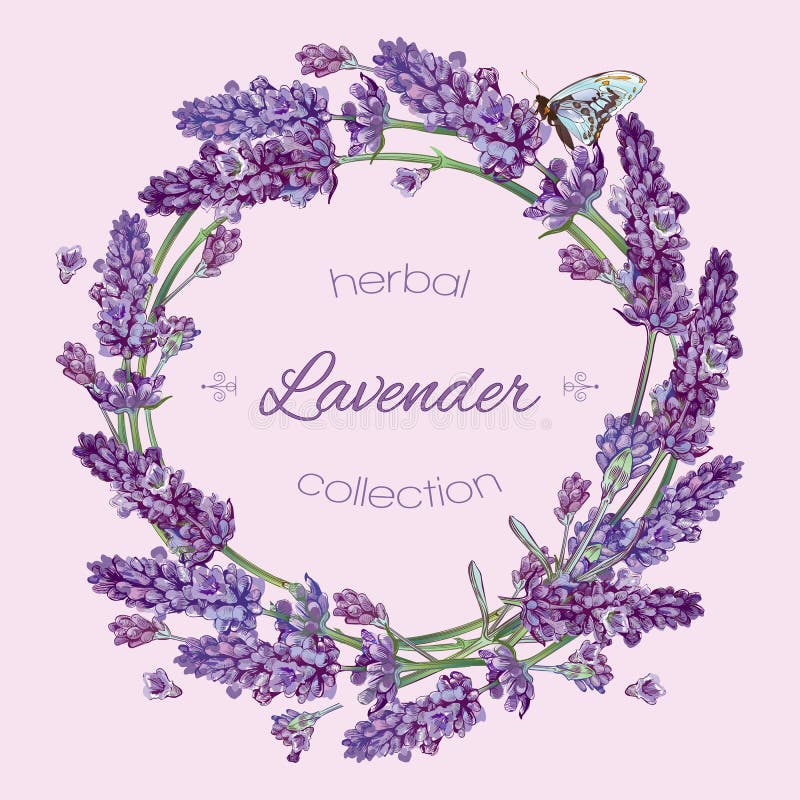 Lavender wreath banner vector illustration Lavender wreath banner vector illustration