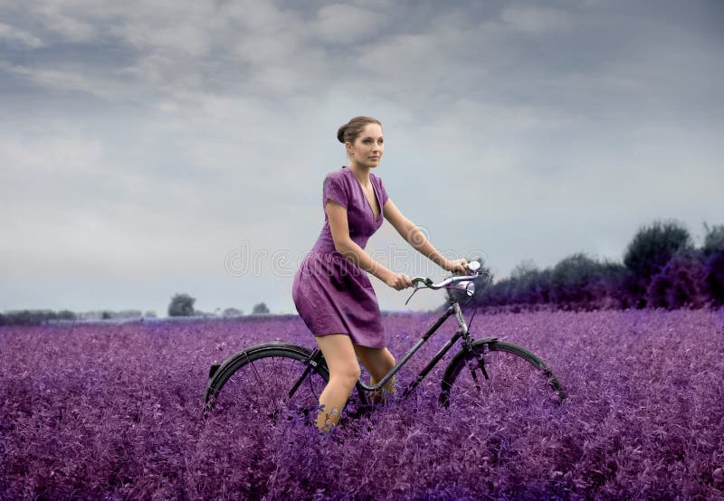 lavender πεδίων lavender πεδίων