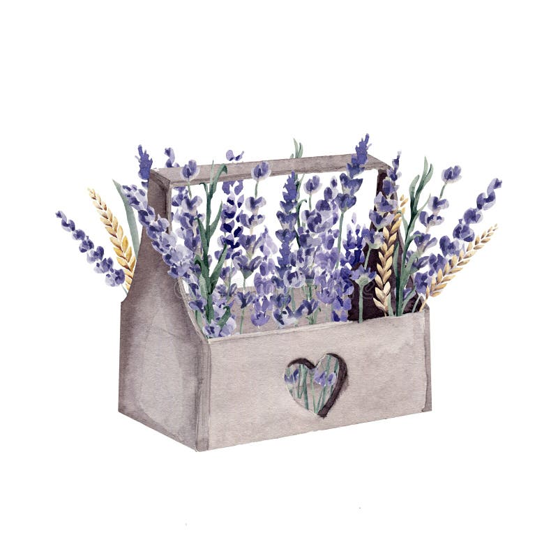 Lavender χρωματισμένος σίτος δημητριακών κιβωτίων της Προβηγκίας watercolor χέρι απεικόνιση αποθεμάτων Lavender χρωματισμένος σίτος δημητριακών κιβωτίων της Προβηγκίας watercolor χέρι απεικόνιση αποθεμάτων