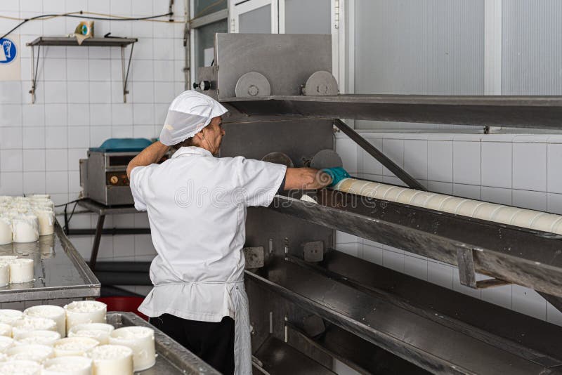 Lavoratrice anziana che si occupa della macchina che estrae il siero di latte residuo dalle muffe di formaggio fresco. fotografia stock libera da diritti