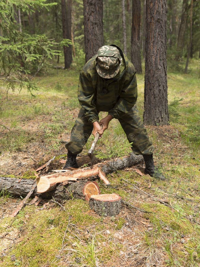 Lavoro degli ispettori della foresta nella foresta fotografia stock libera da diritti Lavoro degli ispettori della foresta nella foresta fotografia stock libera da diritti