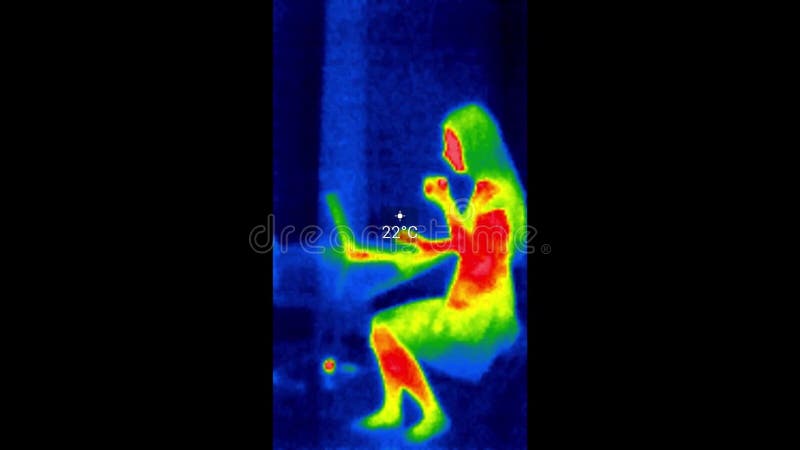 Lavoro della donna sull'immagine termica a infrarossi ir del notebook