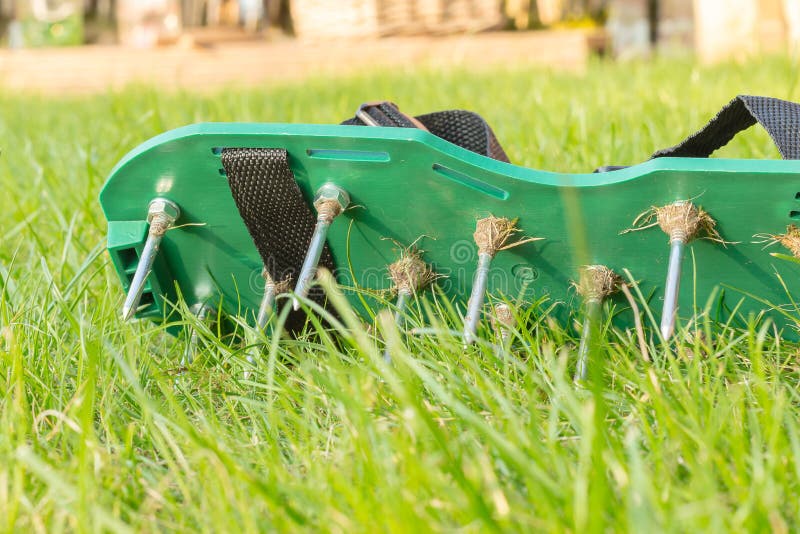 Lawn aerating shoes with metal spikes.