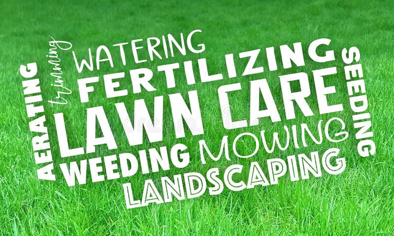 Lawn Care Service Landscaping Mowing Grass Trimming 3d Illustration