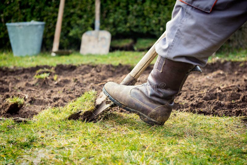 Lawn digging stock images