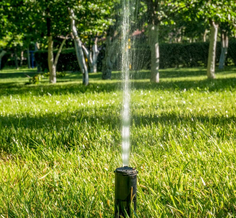 grass water spray
