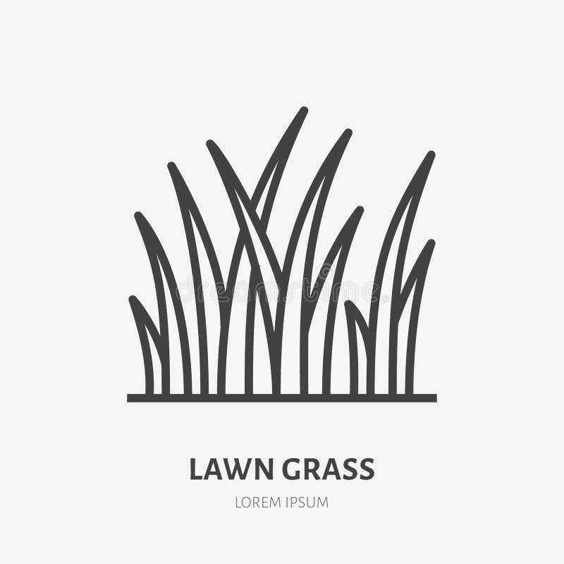 Lawn grass flat line icon. Vector thin sign of planting. Landscaping, meadow illustration