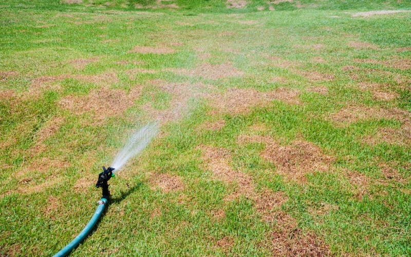 Lawn Irrigation System On A Green Lawn Spraying Clean 
