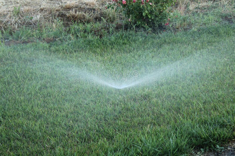 Lawn Irrigation System. Spraying Water on the Lawn in Very Hot Weather