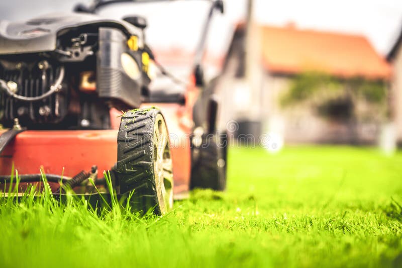 Lawn Mower Cut Grass. Garden Work. Electric Rotary Lawn Mower Machine