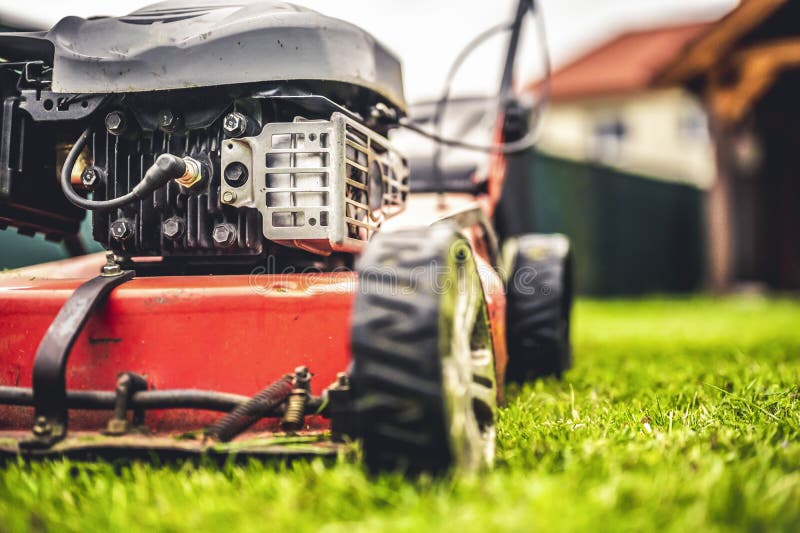 Lawn Mower Cut Grass. Garden Work. Electric Rotary Lawn Mower Machine