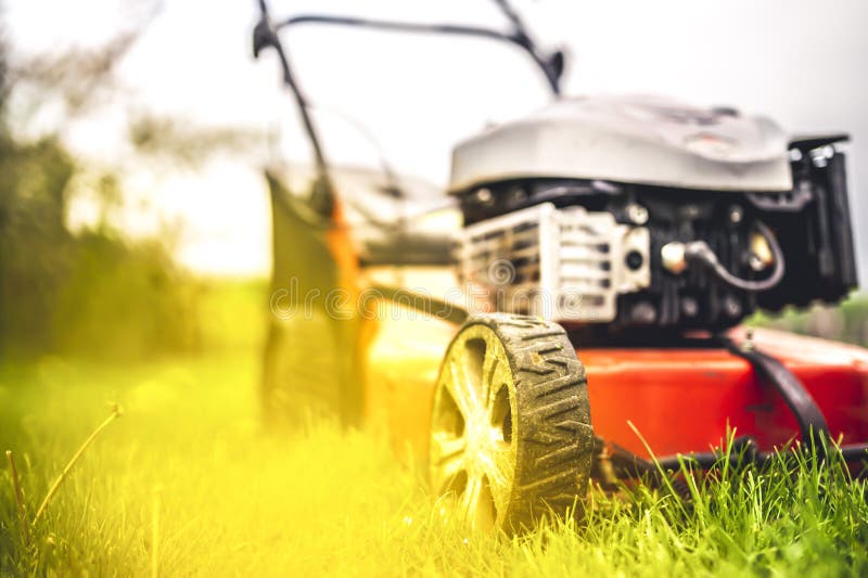 Lawn Mower Cut Grass. Garden Work. Electric Rotary Lawn Mower Machine