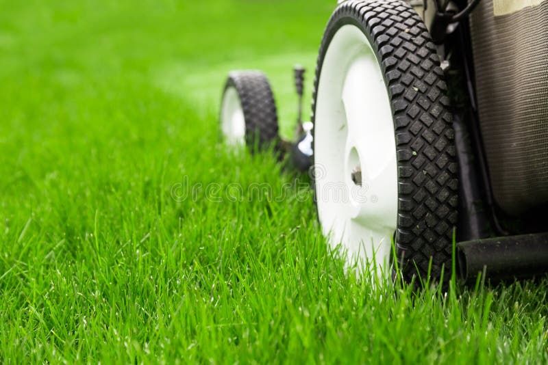 Lawn mower royalty free stock photos Lawn mower royalty free stock photos