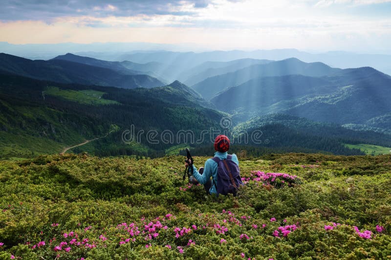 On the lawn among the rhododendron flowers the tourist girl is sitting with the back sack. The landscape with the great mountains. royalty free stock image On the lawn among the rhododendron flowers the tourist girl is sitting with the back sack. The landscape with the great mountains. royalty free stock image