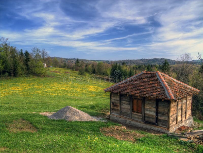 Lawn in spring