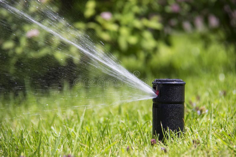 Lawn Sprinkler Installation Essex County