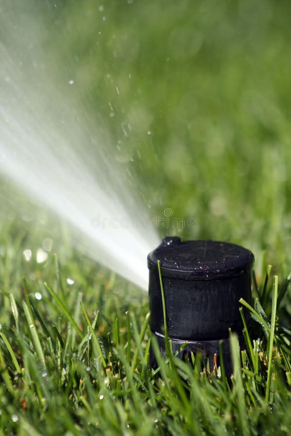 Lawn Sprinkler Head stock photo. Image of sprinkling, summer 3887808