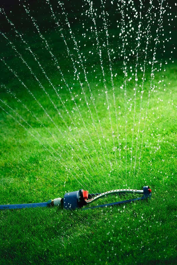 Lawn Sprinkler Spaying Water Over Green Grass Stock Photo Image of