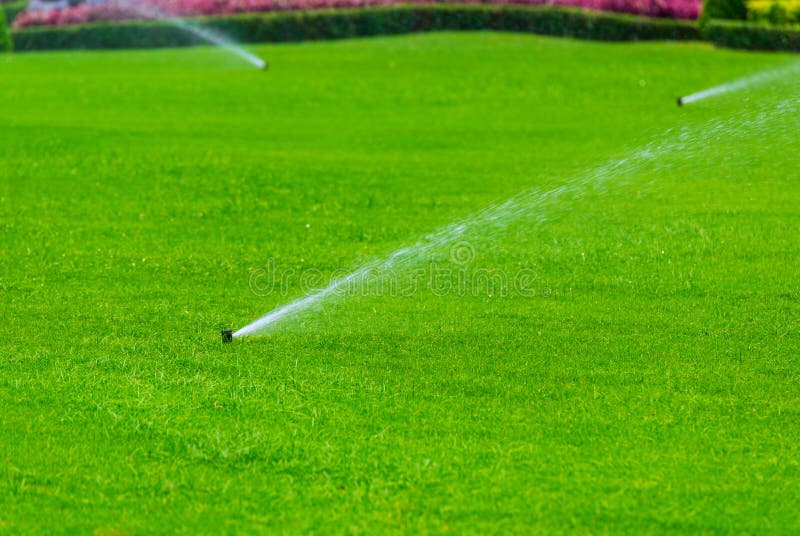 Lawn sprinkler spaying water over green grass. Irrigation system