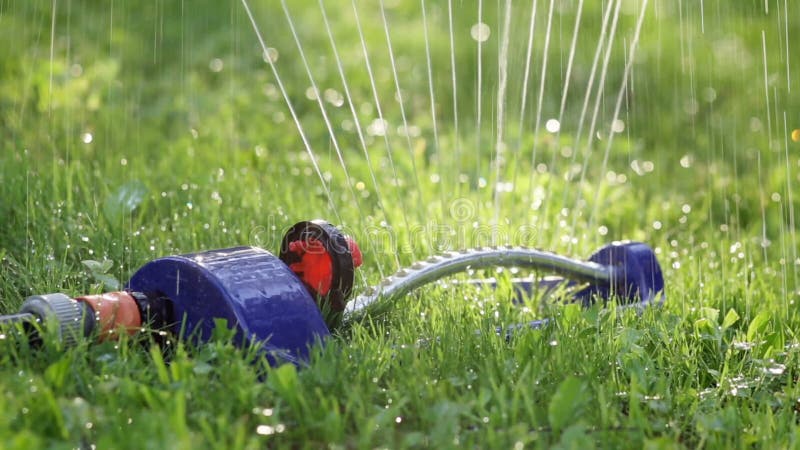 Lawn sprinkler spaying water over green grass.