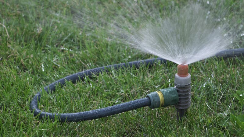 Lawn Sprinkler Sprayer in Action Watering Grass Stock Image - Image of ...