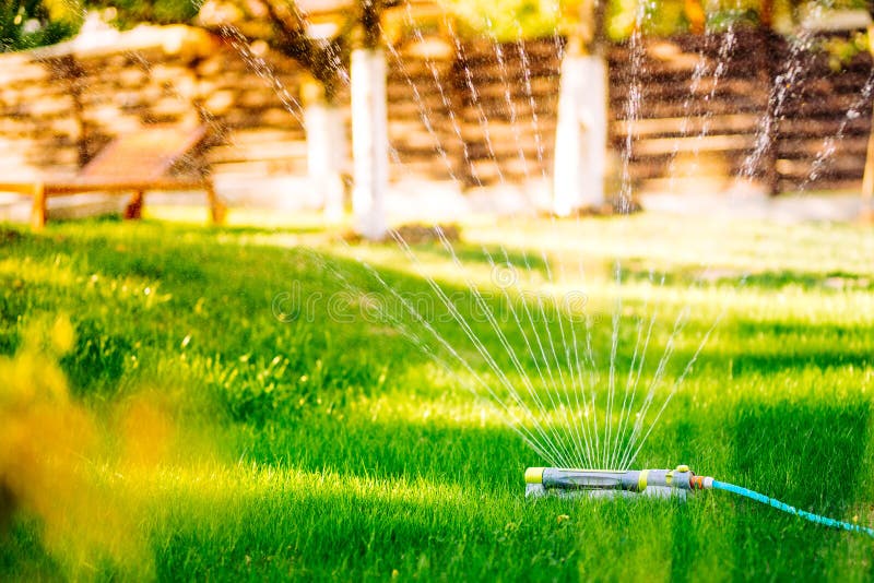 Lawn sprinkler watering lawn green fresh grass in backyard stock images