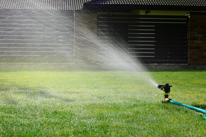 Lawn sprinkler watering green grass