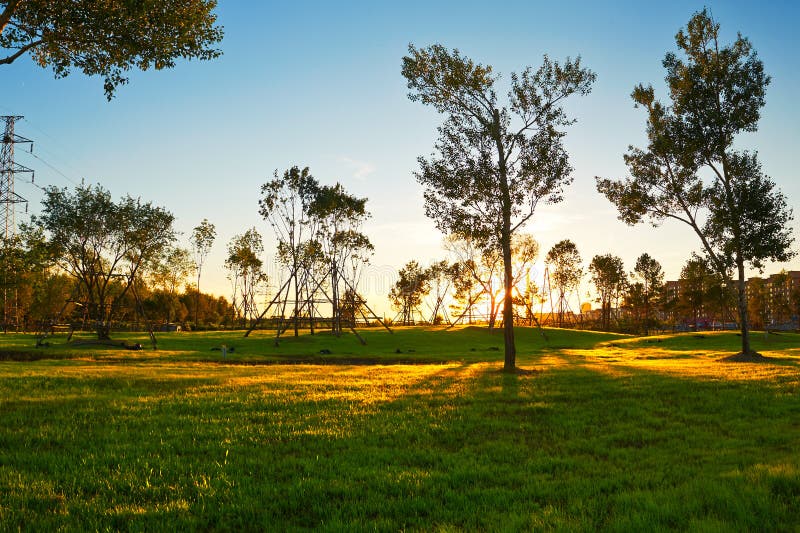 The lawn sunset landscape daqing