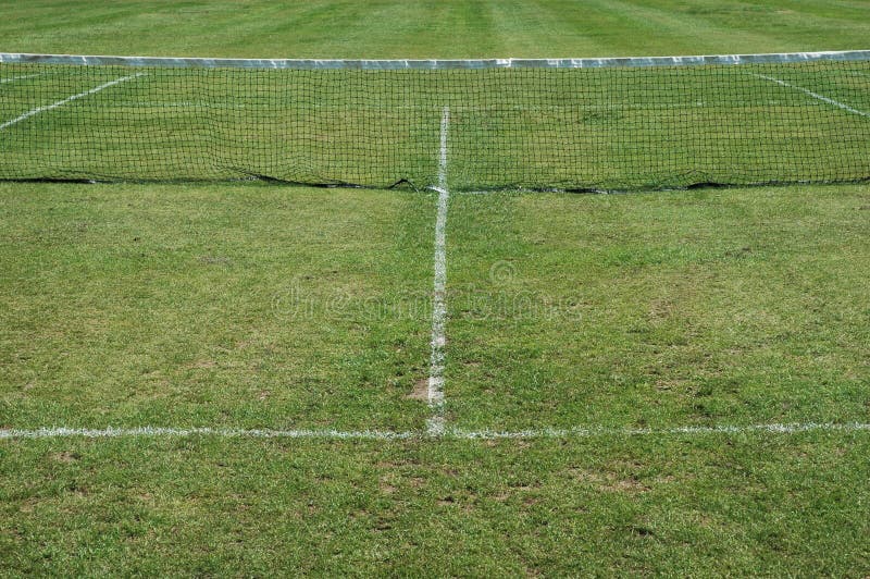 Lawn tennis stock photo. Image of sport, tennis, court 776036
