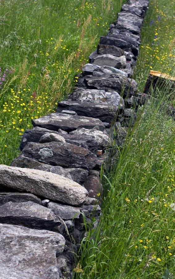 Lawn with wall