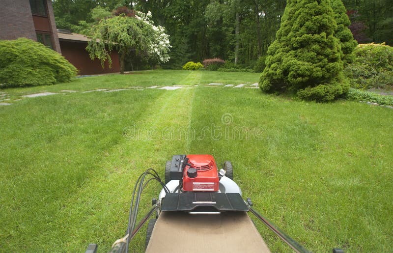 Lawnmower cutting lawn stock photo. Image of push, ground 19888542