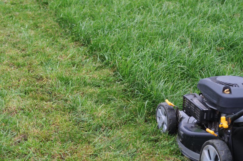Lawnmower royalty free stock images