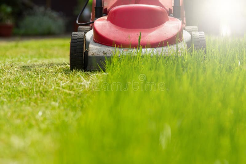 Lawnmowing royalty free stock photography