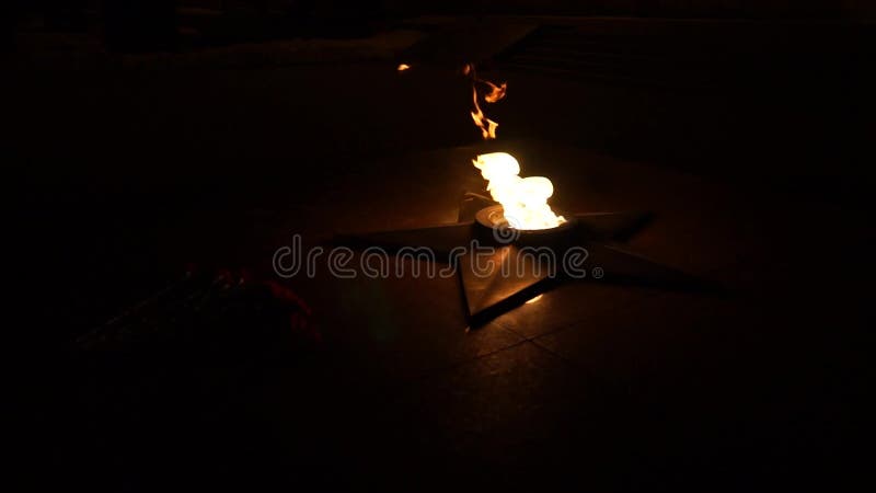 Lay carnations at the eternal flame-2