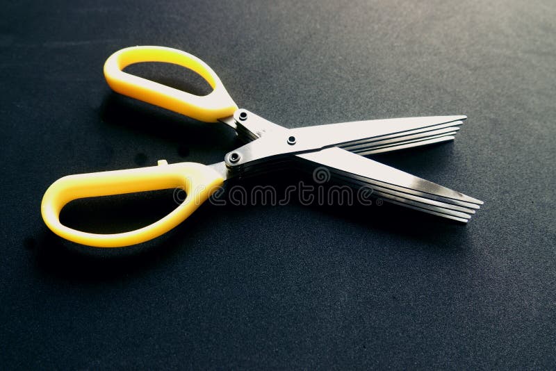 https://thumbs.dreamstime.com/b/layers-multi-layer-scissors-sushi-shredded-scallion-cut-herb-tool-multi-layer-shear-chopped-green-onion-cuts-stainless-steel-139136668.jpg