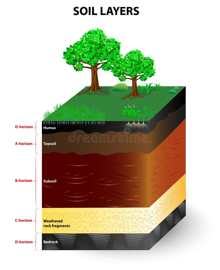 soil profile and soil horizon definition