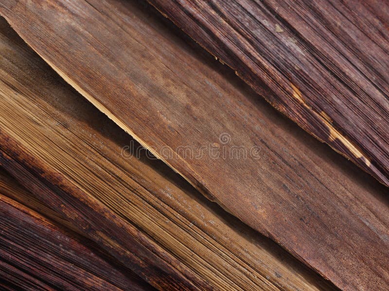 Layers of Wood Veneer stock image. Image of wallpaper 22308389