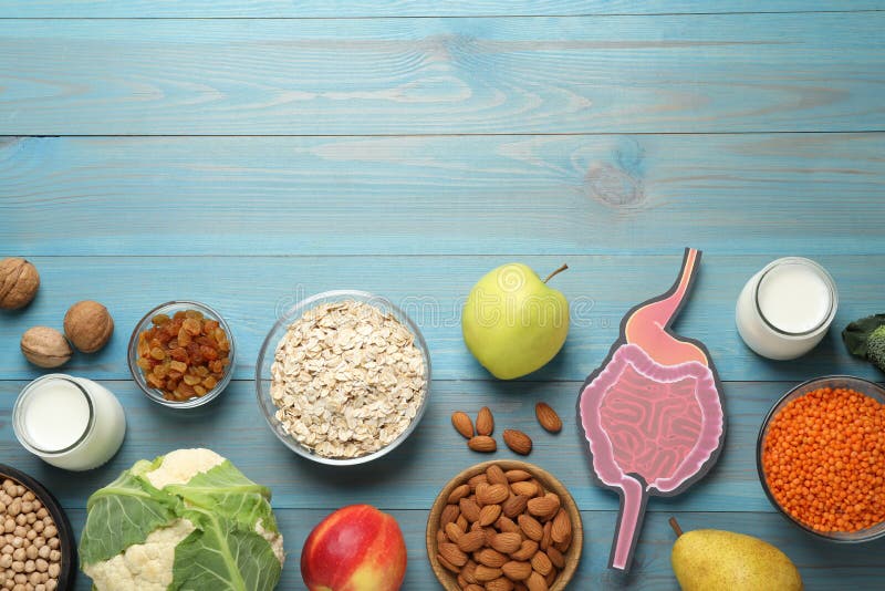 Layout of gastrointestinal tract model and products to help digestion on turquoise wooden table, top view. Space for text royalty free stock image