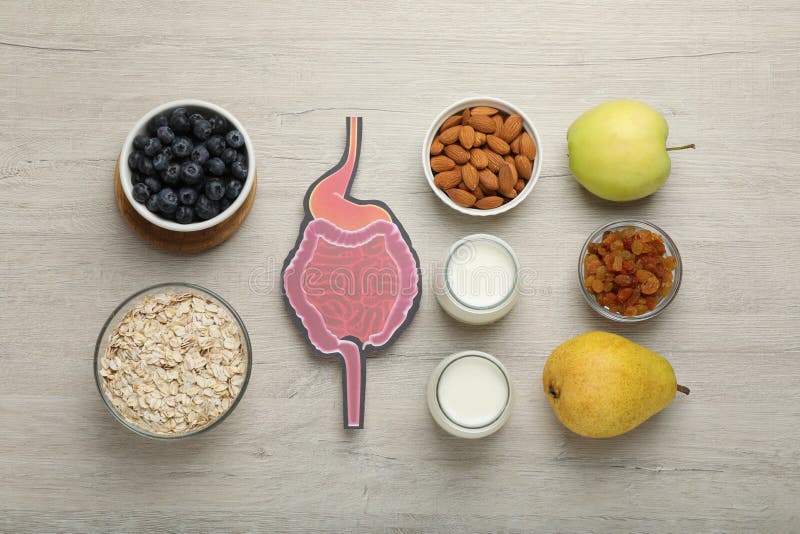 Layout of gastrointestinal tract model and products to help digestion on wooden table, top view royalty free stock photo