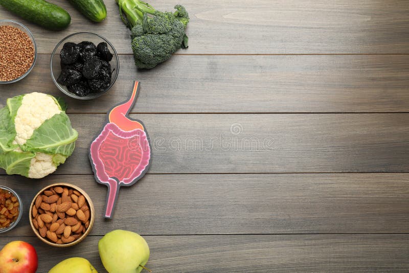 Layout of gastrointestinal tract model and products to help digestion on wooden table, top view. Space for text stock images