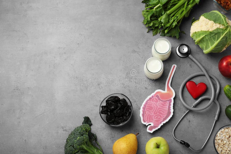 Layout of gastrointestinal tract model with stethoscope and products to help digestion on grey table, top view. space for text stock images