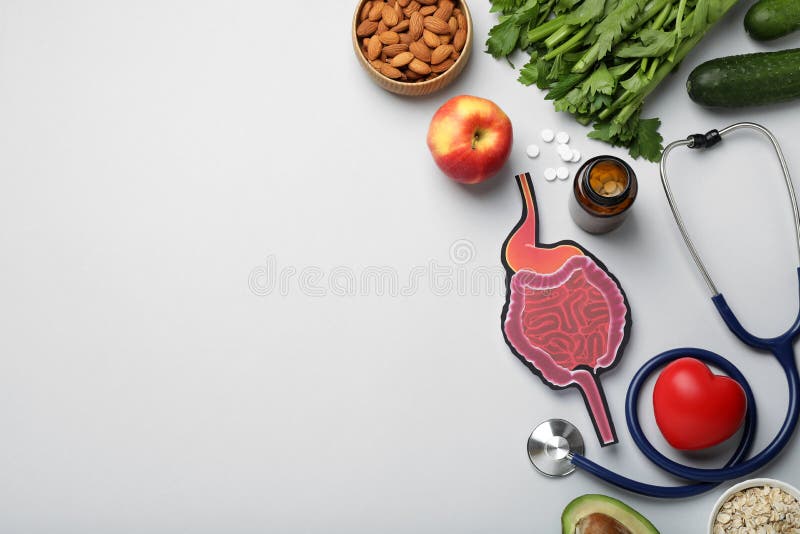 Layout of gastrointestinal tract model with stethoscope and products to help digestion on light table, top view. space for text royalty free stock photos