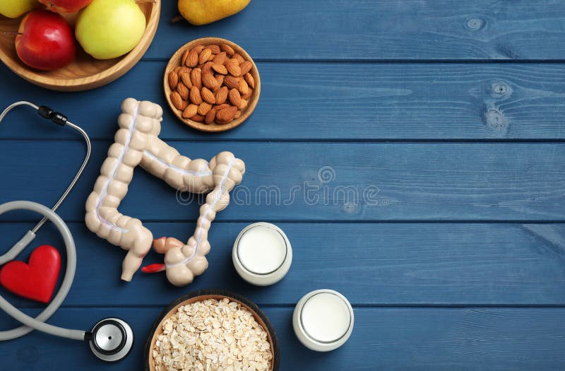 Layout of intestine model and products to help digestion on blue wooden table, top view. Space for text stock image