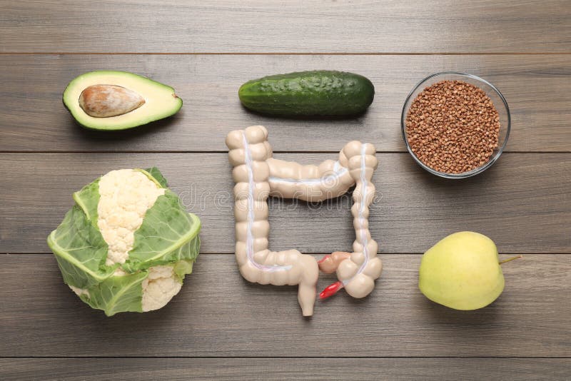 Layout of intestine model and products to help digestion on wooden table, top view stock photos