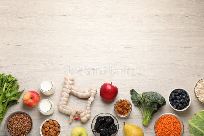 Layout of intestine model and products to help digestion on wooden table, top view. Space for text royalty free stock photo