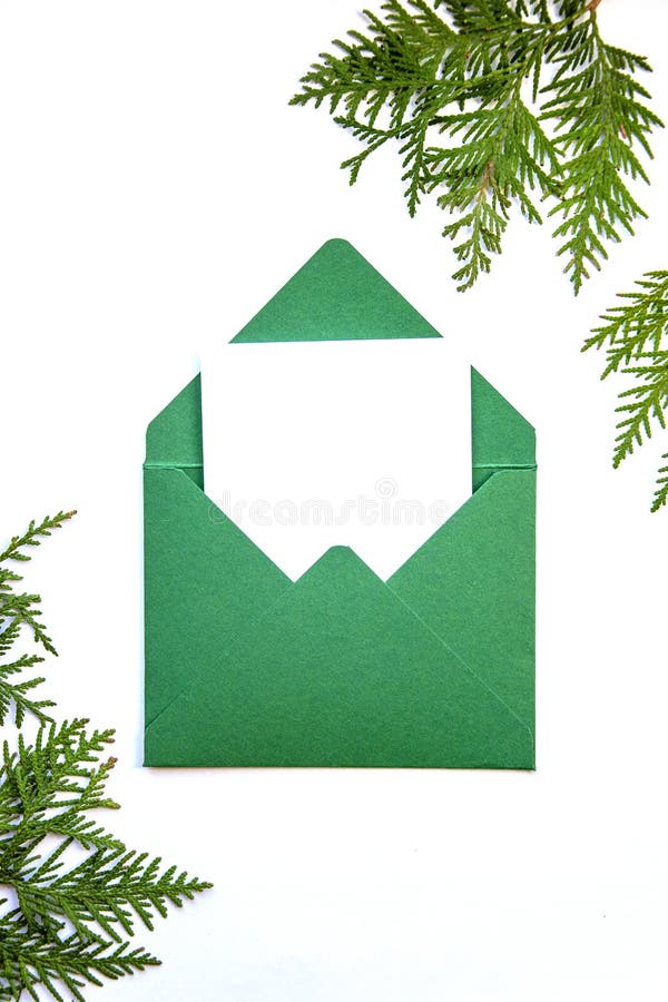 Layout of a postcard in a green envelope on a white background with a frame of cypress branches. stock images